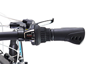 RENEULT LIGHT10 BlueSignature �V�t�^�[